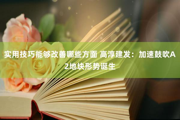 实用技巧能够改善哪些方面 高淳建发：加速鼓吹A2地块形势诞生