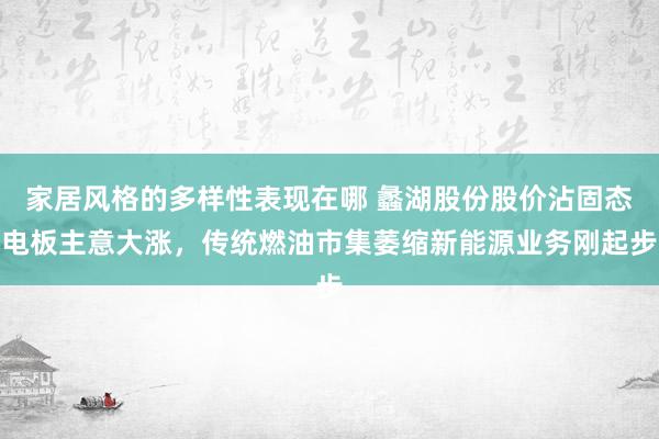 家居风格的多样性表现在哪 蠡湖股份股价沾固态电板主意大涨，传统燃油市集萎缩新能源业务刚起步