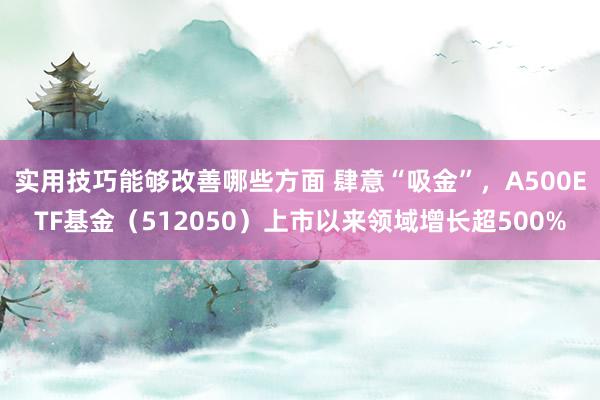 实用技巧能够改善哪些方面 肆意“吸金”，A500ETF基金（512050）上市以来领域增长超500%