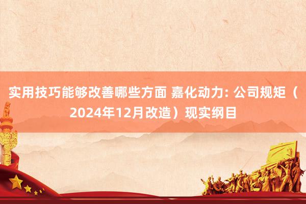 实用技巧能够改善哪些方面 嘉化动力: 公司规矩（2024年12月改造）现实纲目