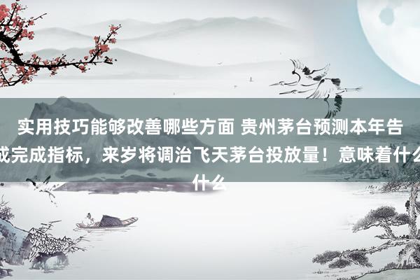 实用技巧能够改善哪些方面 贵州茅台预测本年告成完成指标，来岁将调治飞天茅台投放量！意味着什么