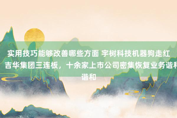 实用技巧能够改善哪些方面 宇树科技机器狗走红：吉华集团三连板，十余家上市公司密集恢复业务谐和