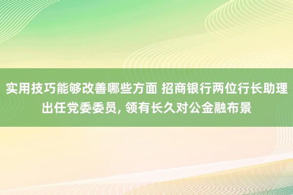 实用技巧能够改善哪些方面 招商银行两位行长助理出任党委委员, 领有长久对公金融布景