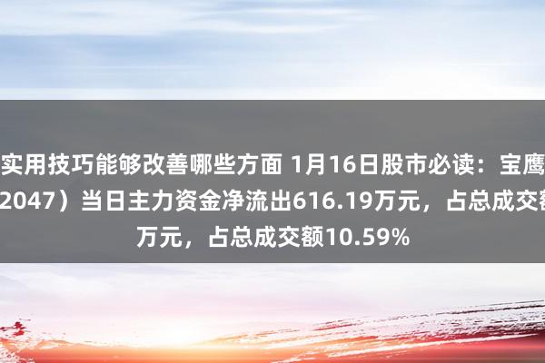 实用技巧能够改善哪些方面 1月16日股市必读：宝鹰股份（002047）当日主力资金净流出616.19万元，占总成交额10.59%