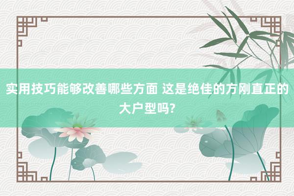 实用技巧能够改善哪些方面 这是绝佳的方刚直正的大户型吗?