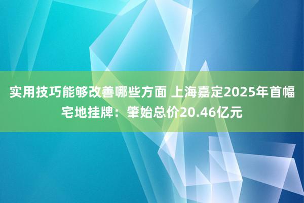 实用技巧能够改善哪些方面 上海嘉定2025年首幅宅地挂牌：肇始总价20.46亿元