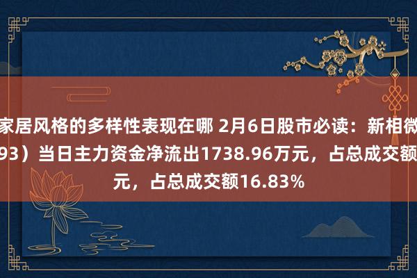 家居风格的多样性表现在哪 2月6日股市必读：新相微（688593）当日主力资金净流出1738.96万元，占总成交额16.83%