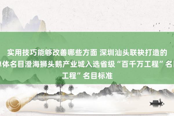 实用技巧能够改善哪些方面 深圳汕头联袂打造的最大单体名目澄海狮头鹅产业城入选省级“百千万工程”名目标准