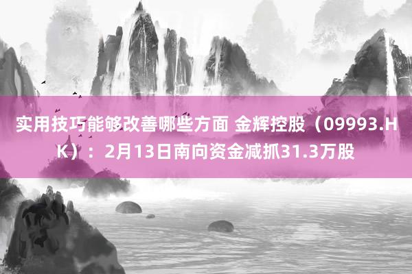 实用技巧能够改善哪些方面 金辉控股（09993.HK）：2月13日南向资金减抓31.3万股