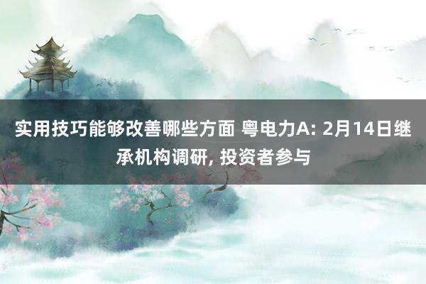 实用技巧能够改善哪些方面 粤电力A: 2月14日继承机构调研, 投资者参与