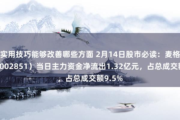 实用技巧能够改善哪些方面 2月14日股市必读：麦格米特（002851）当日主力资金净流出1.32亿元，占总成交额9.5%