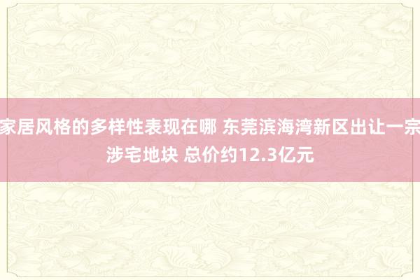 家居风格的多样性表现在哪 东莞滨海湾新区出让一宗涉宅地块 总价约12.3亿元