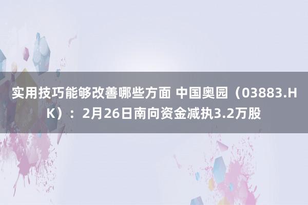 实用技巧能够改善哪些方面 中国奥园（03883.HK）：2月26日南向资金减执3.2万股