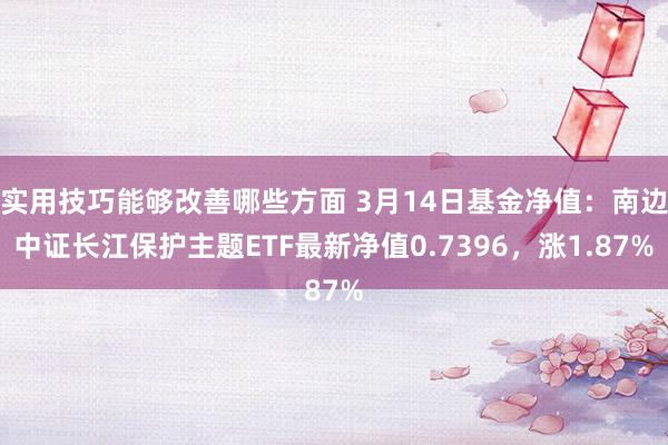 实用技巧能够改善哪些方面 3月14日基金净值：南边中证长江保护主题ETF最新净值0.7396，涨1.87%